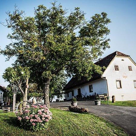 Weingut Klapsch