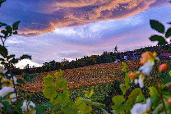 Weingut Weber