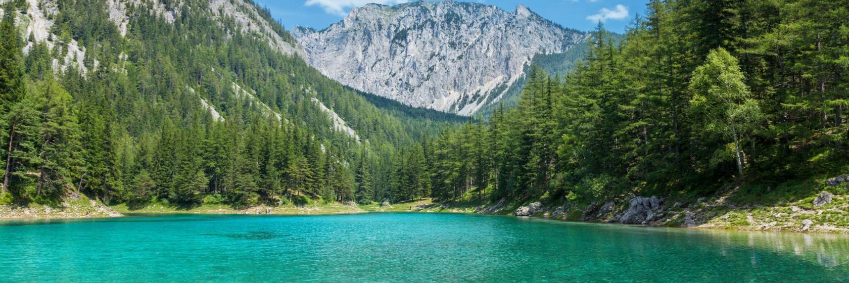 Grüner See