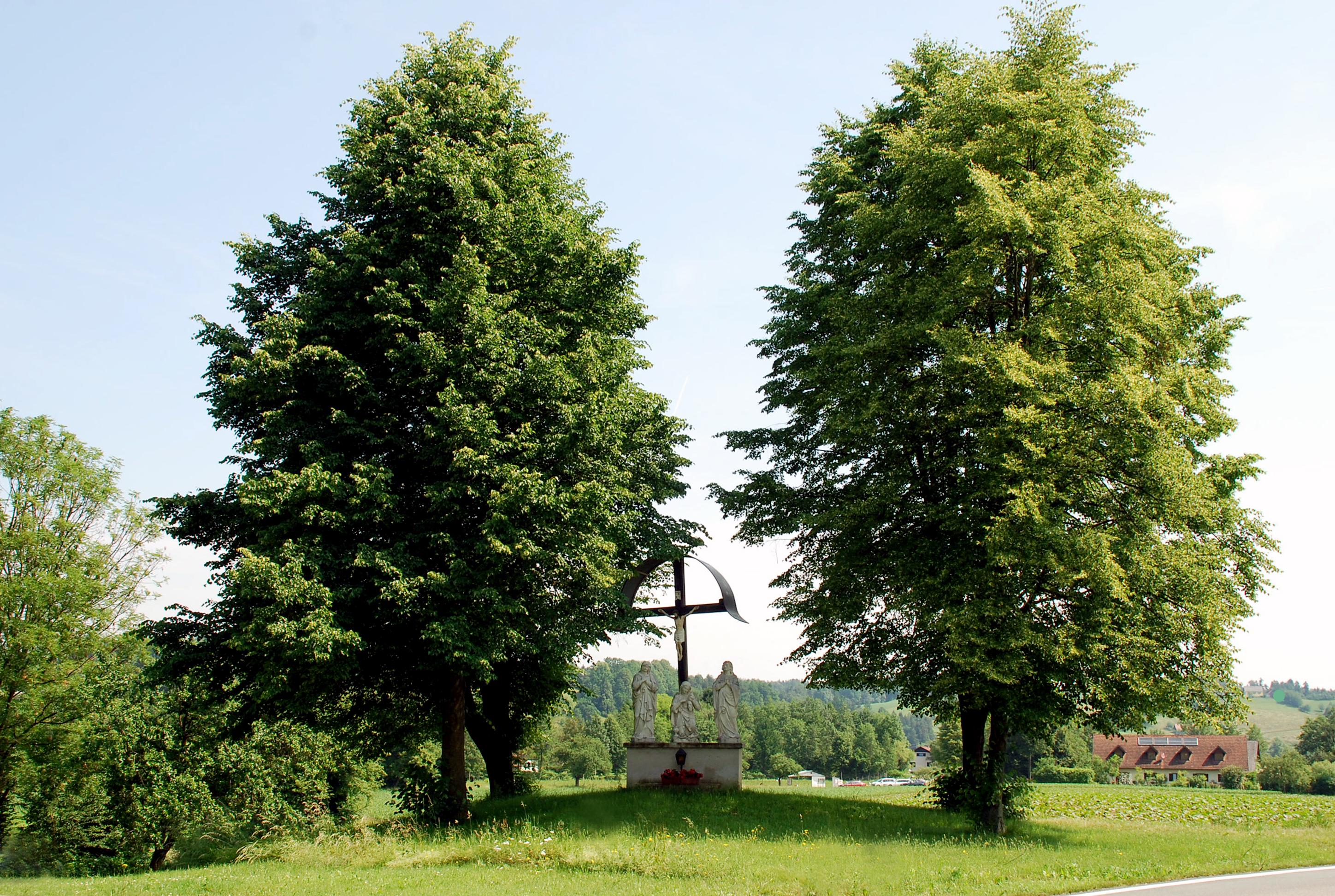 Kruzifix/Kreuz