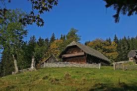 die Waldheimat