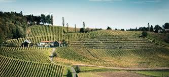 Weingut Gross