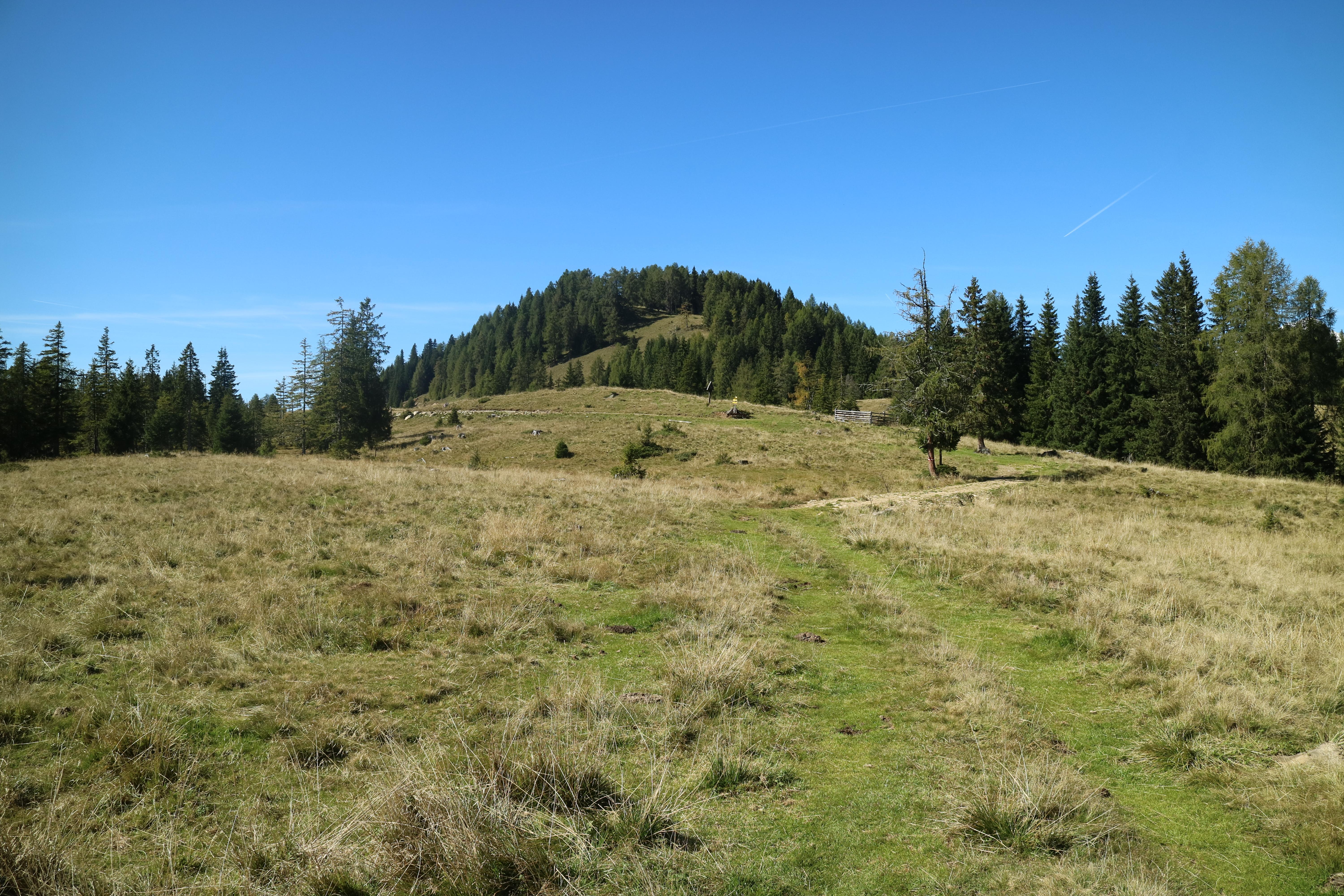 der Weidschober