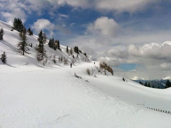 Frauenalpe