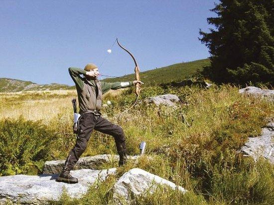 Robin Hood Land