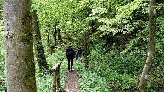 Altenbachklamm