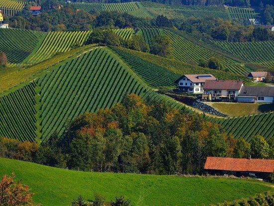 Glanzer Hoftour