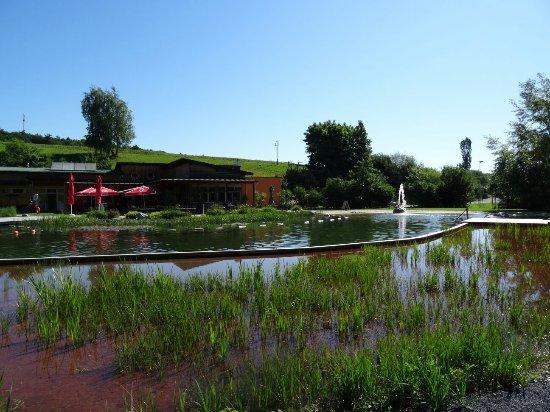Naturschwimmteich Jagerberg