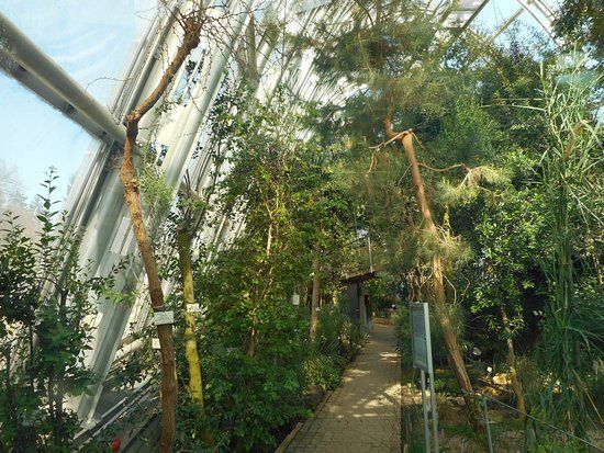 Botanischen Garten