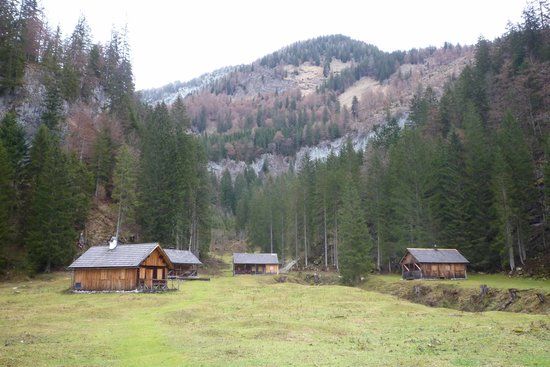 Zimitzalm
