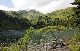 Großer Scheibelsee