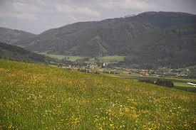 das Troiseck